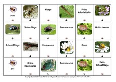 Domino-Insekten-1.pdf